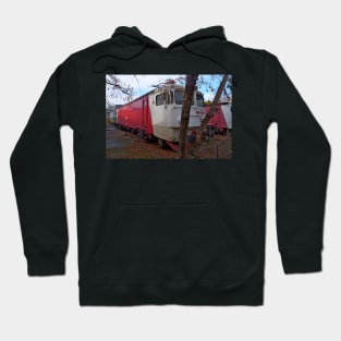 Disused loco, Romania Hoodie